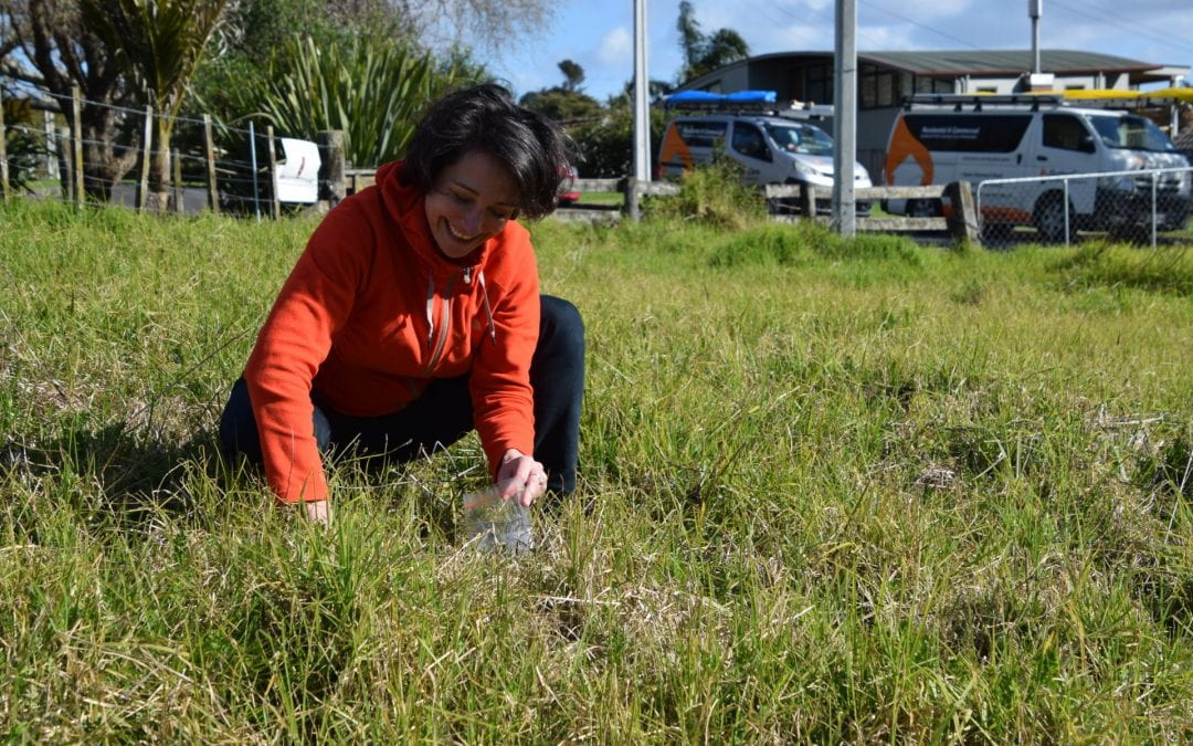 Listen to the RNZ interview on our soil testing programme.